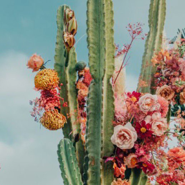 House of Mercy - Casa de Misericordia