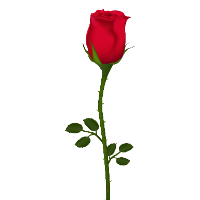 Single Stem Rose item