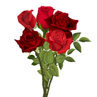 Bundle of 5 Roses item