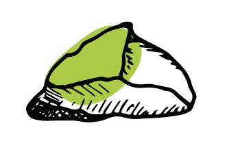 Grand Dialogue régional pour la transition socio-écologique au Saguenay - Lac-Saint-Jean