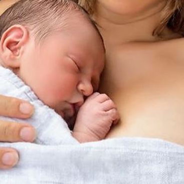 Formation continue, prix non-membre** item