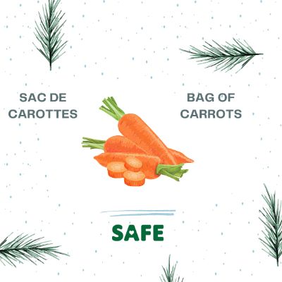 Sac de carottes / Bag of Carrots item