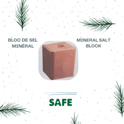 Bloc de sel minéral / Mineral salt bloc item
