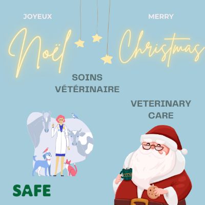 soins vétérinaire / veterinary care item