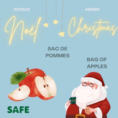 Sac de pommes / Bag of apples item