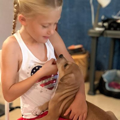 Goa LA animal rescue