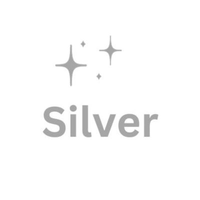 Silver Sponsorship item