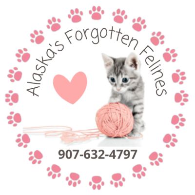 Alaska's Forgotten Felines