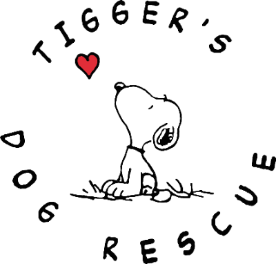 Tigger's Dog Rescue