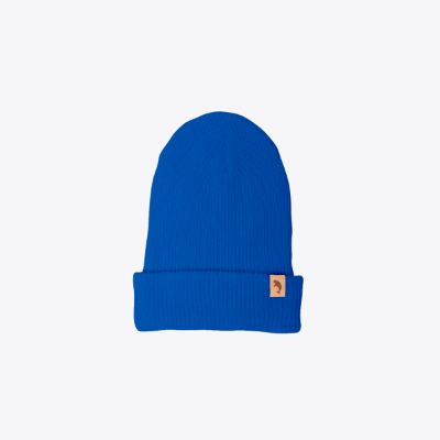 Touque Wickenheiser (Blue) item