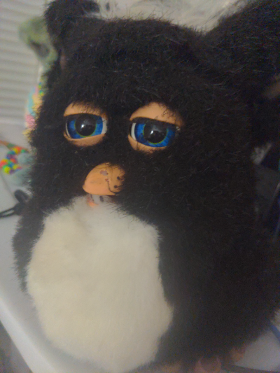 Furbys world