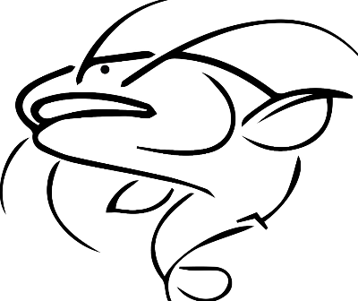 Catfish’s Kicks for Kids