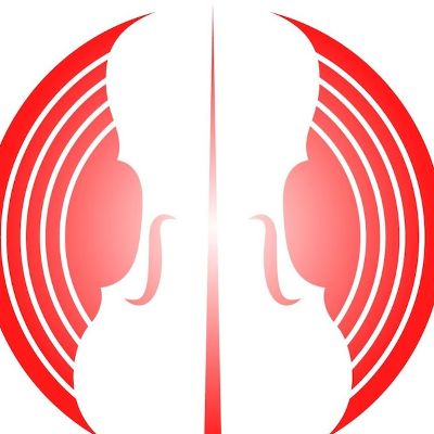 Connecticut Virtuosi Chamber Orchestra