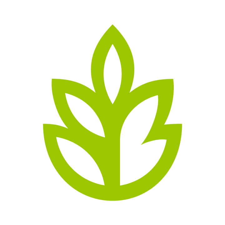 Basira Islamic Foundation (BIF)