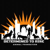 Determined To Rise Animal Foundation