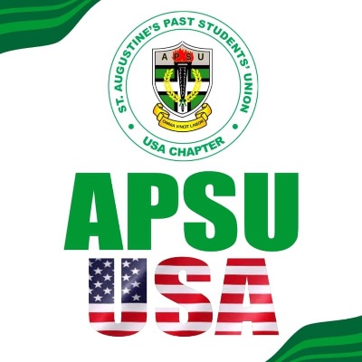 APSU USA INC