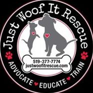 Just Woof It Rescue Grey/Bruce