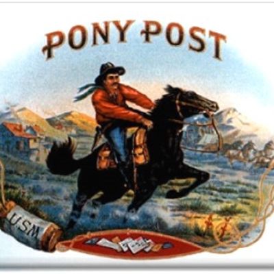 Bittersweet Activity