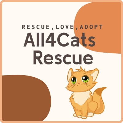All 4 Cats Rescue