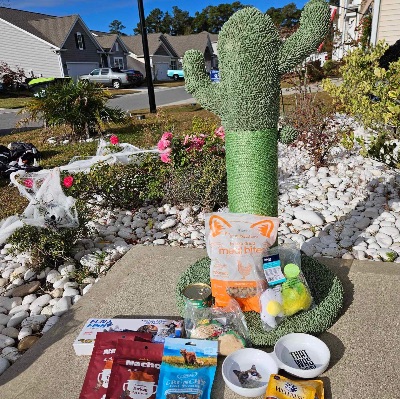 #3 Cat Basket - Cactus Scratching Post item