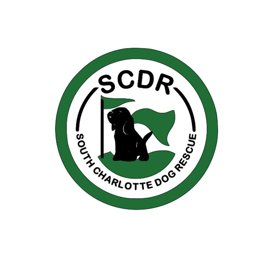South Charlotte Dog Rescue