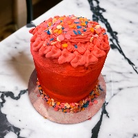 Fundraiser for Nash!