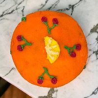 Fundraiser for Nash!