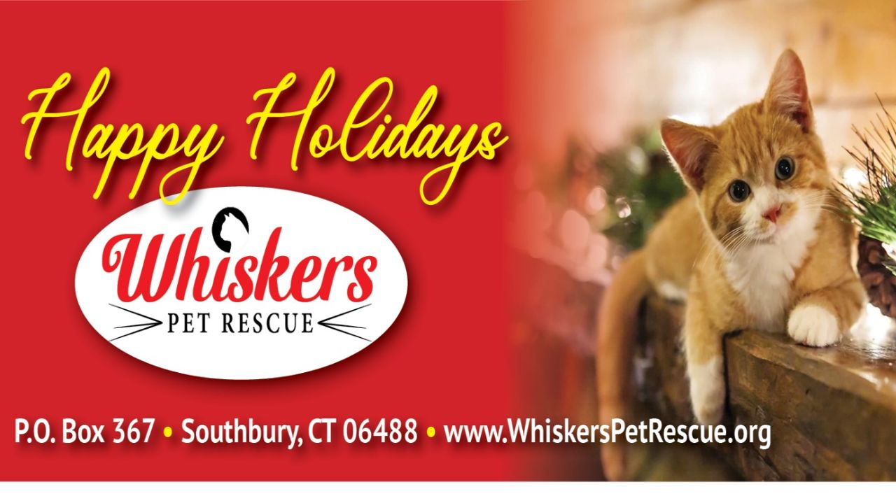 Exquisite Summerland Animal Rescue Extends Holiday Season Well Wishes View Nature Exquisite Summerland Animal Rescue Extends Holiday Season Well Wishes View Nature