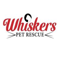 Whiskers Pet Rescue, Inc