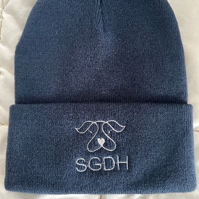 Winter Hat - Blue item