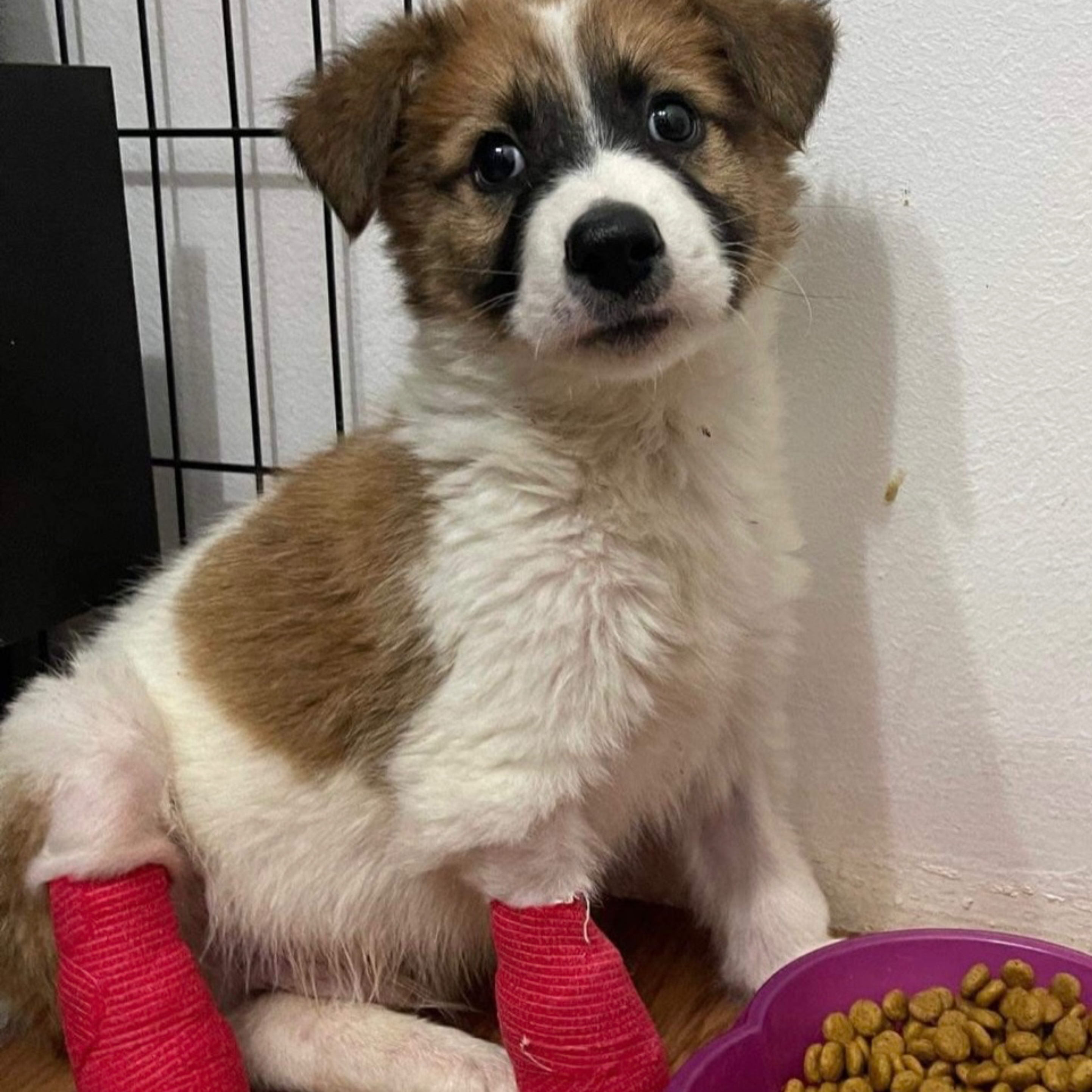 Sponsor an exam fee! item