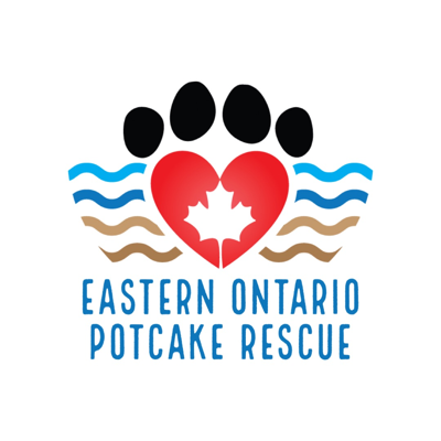 Eastern Ontario Potcake Rescue