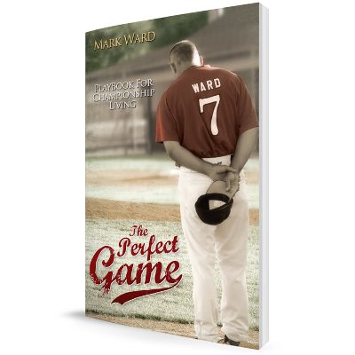 THE PERFECT GAME item