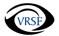 VitreoRetinal Surgery Foundation