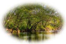 Friends of Lick Creek