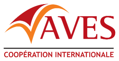 Alternative de vie / Éveil social