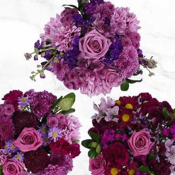 20 Stem Bouquet without Vase item