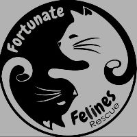 Fortunate Felines Rescue