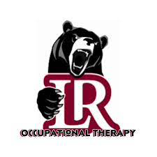 Student Occupational Therapy Association