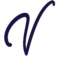 Ventures Winter Guard