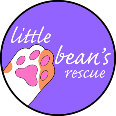 Little Bean's Cat Cafe