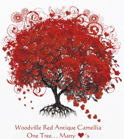 Audubon Encounters Promotions Services