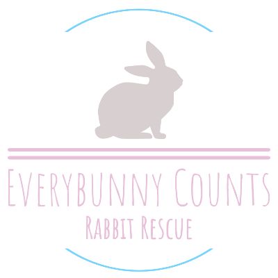 Everybunny Counts Rabbit Rescue