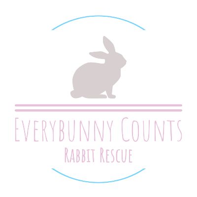 Everybunny Counts Rabbit Rescue