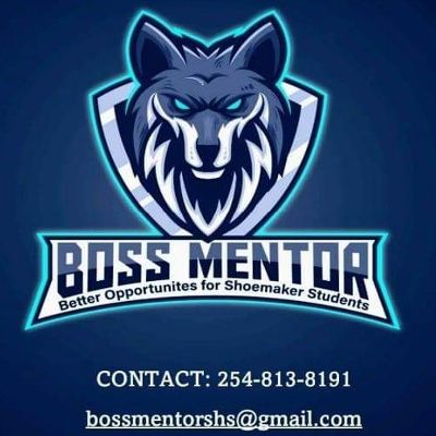 BOSS Mentor Program