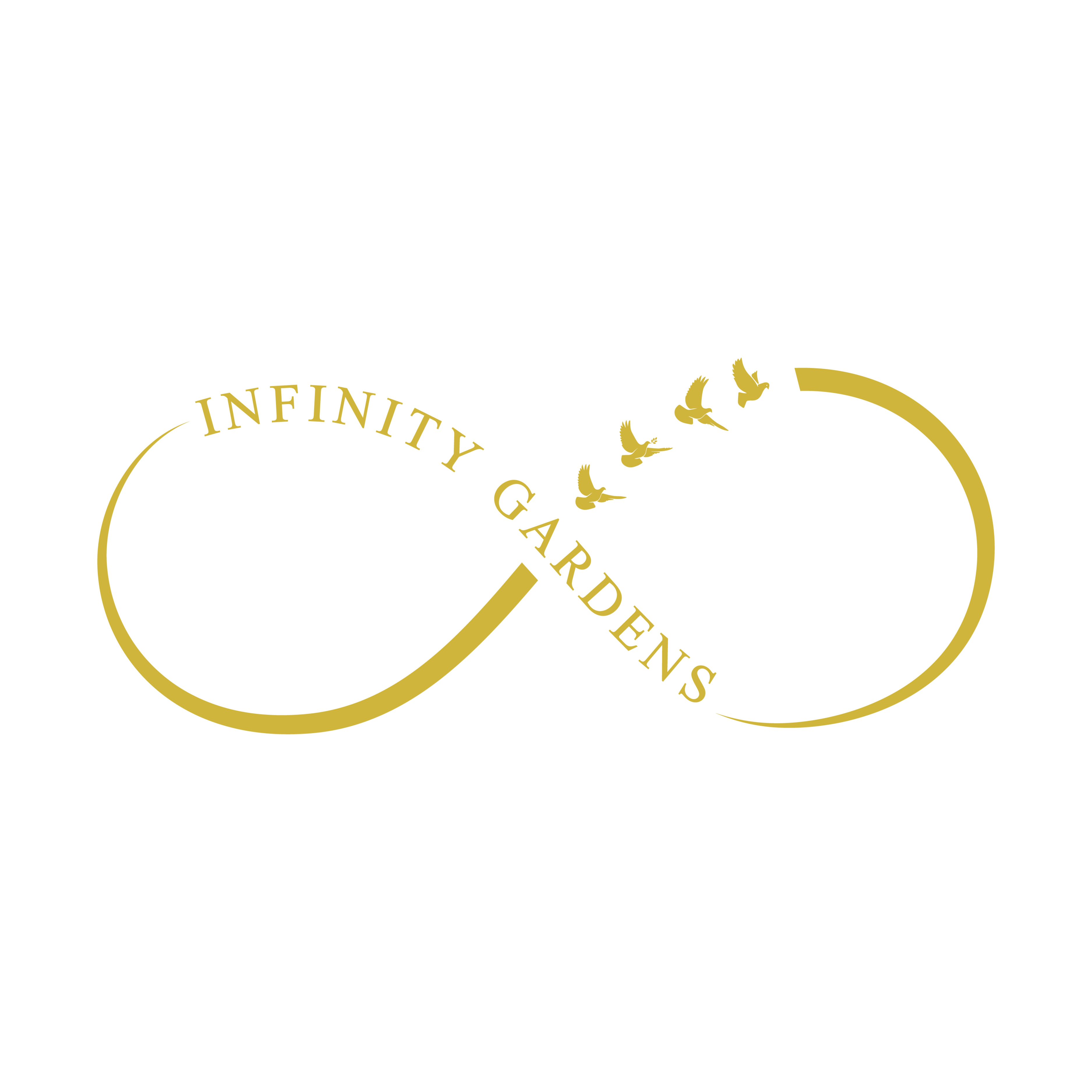 INFINITY GARDENS INC