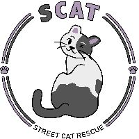 SCAT Street Cat Rescue Program Inc.