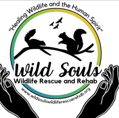 Wild Souls Wildlife Rescue & Rehabilitation