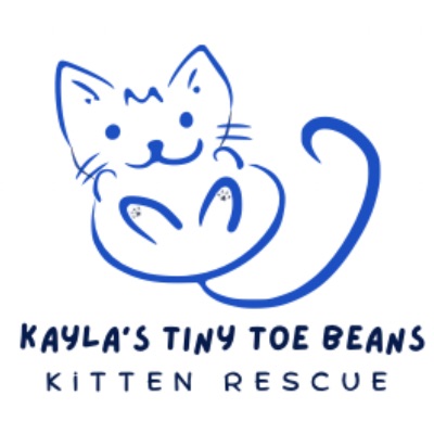 Kayla’s Tiny Toe Beans Kitten Rescue