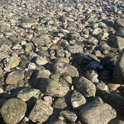 Falling through the cracks